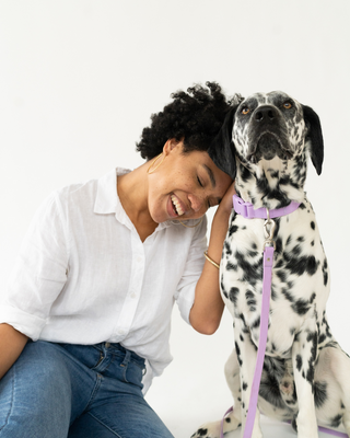 TIPS & TRICKS TO FOSTERING A DOG