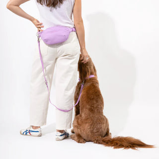 Hands-Free Dog Walking Bag + Collar Set