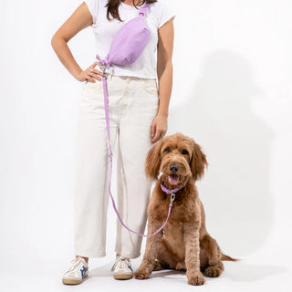 Hands-Free Dog Walking Bag + Collar Set