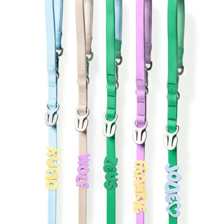Waterproof Dog Leash + Collar Set