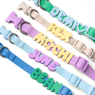 The Complete Dog Walking Set