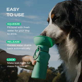 Flip Dog Travel Water Bottle