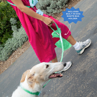Hands-Free Dog Walking Bag + Collar Set