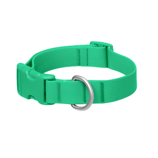 Green waterproof dog collar with silver D-ring and quick-release buckle on white background