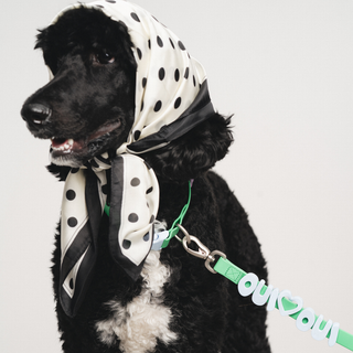 Personalised Waterproof Dog Leash with Charms - 1.5m
