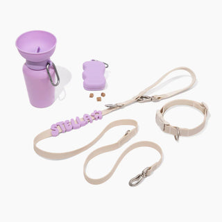 The Complete Dog Walking Set
