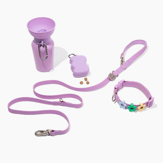 The Complete Dog Walking Set