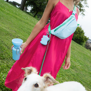 Woman in pink dress wearing blue Springland fanny pack with treat dispenser while walking a white dog