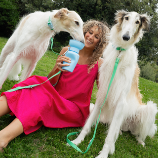 Woman in pink dress sitting on grass with two Borzoi dogs, holding a blue water bottle and green leash