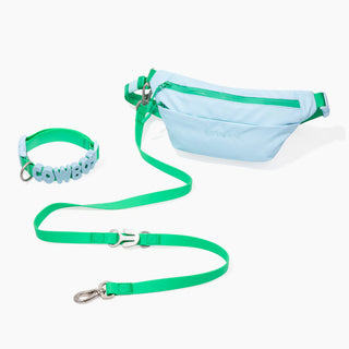 Hands-Free Dog Walking Bag + Collar Set
