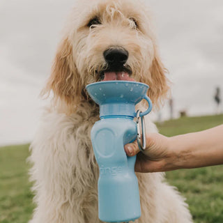 Classic Dog Travel Bottle