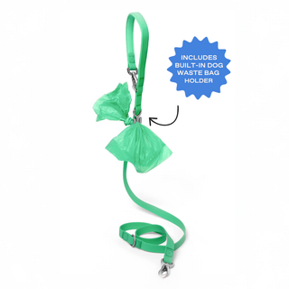 The Complete Dog Walking Set
