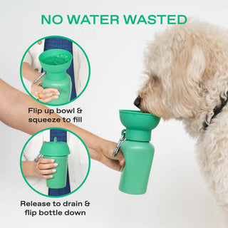 Flip Dog Travel Water Bottle