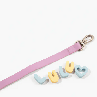 Waterproof Dog Leash + Collar Set