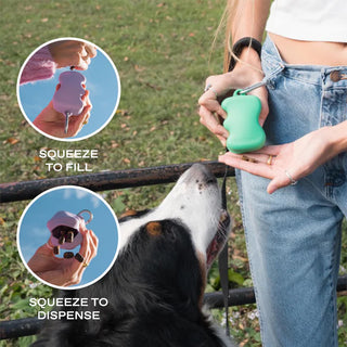 Silicone Treat Dispenser