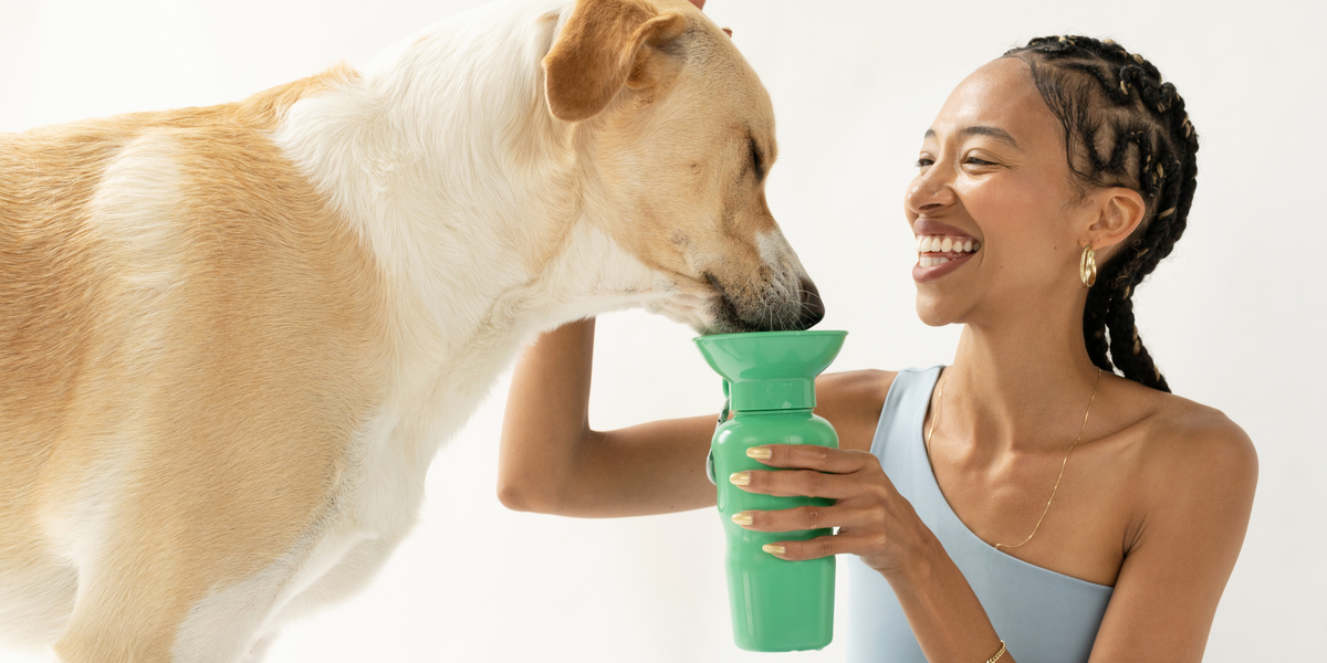 Mini Dog Travel Bottle - Springland Pets AU
