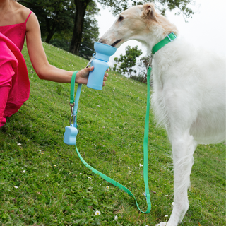 Borzoi drinking from a blue portable water bottle while on a green leash outdoors