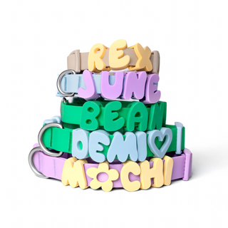 Stack of five colorful dog collars with letter charms spelling REX, JUNE, BEAN, DEMI, and MOCHI