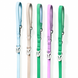 Five waterproof dog leashes in blue, beige, green, purple, and green with silver clip hardware