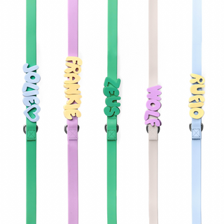 Five colorful dog leashes displayed vertically with personalized letter charms in contrasting colors