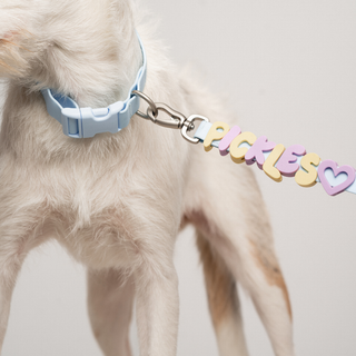 Personalised Waterproof Dog Leash with Charms - 1.5m
