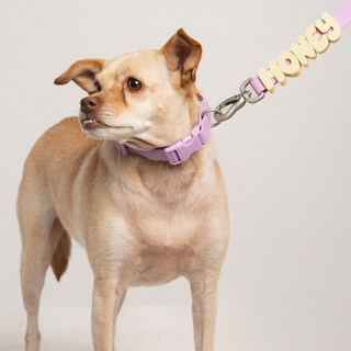 Personalised Waterproof Dog Leash with Charms - 1.5m