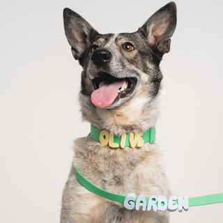 Personalised Waterproof Dog Leash with Charms - 1.5m