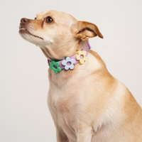 Medium Dog Sizing